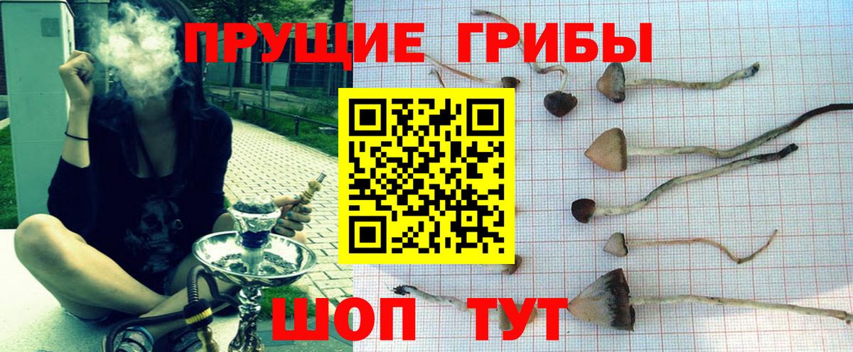 Псилоцибиновые грибы ЛСД Благовещенск